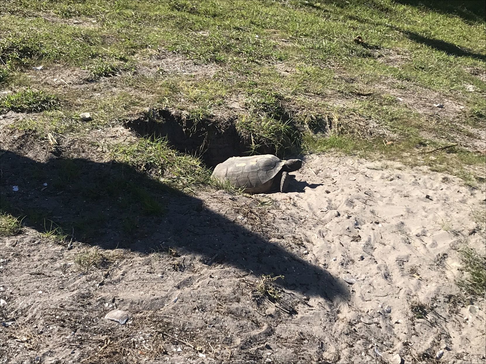 Travel to Sanibel